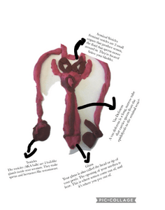 ovary.PNG