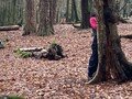thumbnail_IMG_4422.jpg