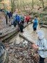 thumbnail_IMG_4435.jpg