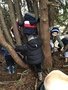 BFDA5E14-82E8-4DCC-A491-74C3CBD71982.jpeg