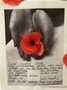 Tenoch Remembrance 4.jpg