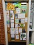 yr 6 door.jpg