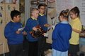 IMG_7038.JPG