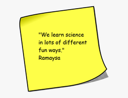 pupil voice web 1.png