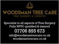 Woodsman Tree Surgery1.jpg