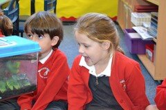 Zoo Lab 22 (24).JPG