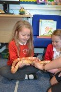Zoo Lab 22 (29).JPG