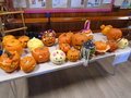 DSC01129.JPG