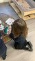 46f79a51-aee2-43e6-854c-5177b764f7d5.jpeg