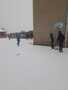 IMG-20230117-WA0049.jpg