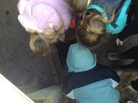 IMG_7153.JPG