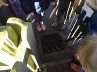 IMG_7157.JPG