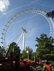 IMG_0059.JPG