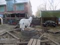 DSCN1556.JPG