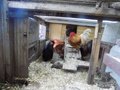 DSCN1562.JPG