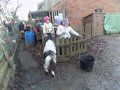 DSCN1584.JPG