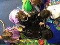 IMG_3184.JPG