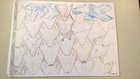 WP_20230117_12_02_34_Pro.jpg