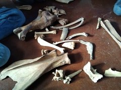 IMG_20211006_143927.jpg