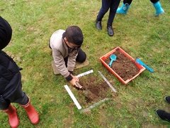 IMG_20211008_112457.jpg