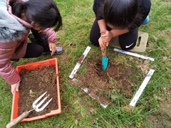 IMG_20211008_112506.jpg