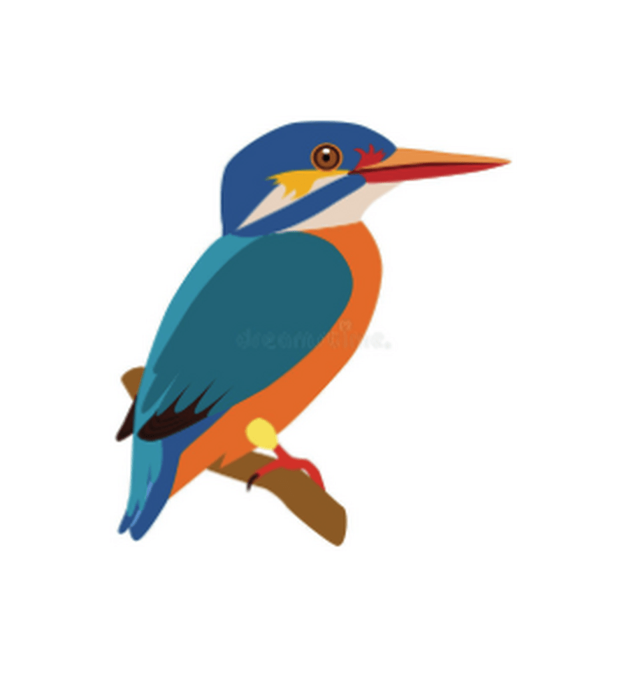 Kingfisher