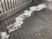 Winterwalk (12).jpg