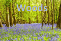 Woods.png
