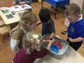 IMG_1331.JPG