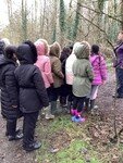 ForestSchoolC15 (1).JPG