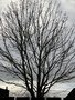 256F75AD-7A8D-4A90-A72F-168817EBBD12.jpeg