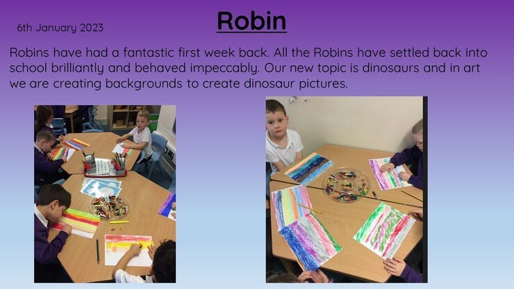 Robin Week 1.jpg