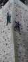 26777A31-61E5-4AAF-B86B-707CB1168B67.jpeg