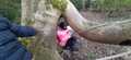 43361CF7-1695-4352-9443-EDBCE976A22D.jpeg