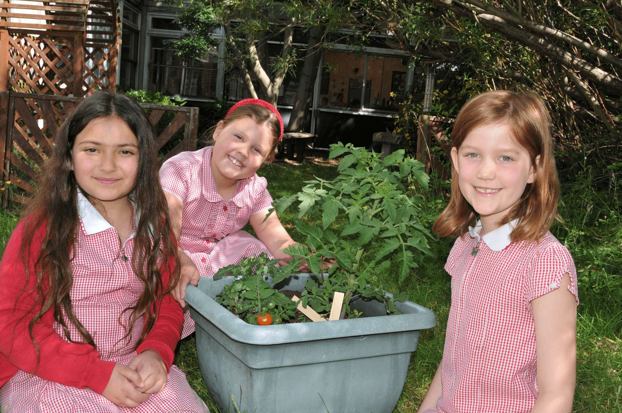 New Oscott Primary School Term Dates