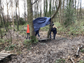 forest school 3.png