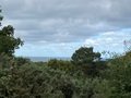 IMG_3370.JPEG