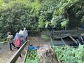 IMG_3414.JPEG