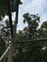 IMG_3439.JPEG