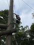 IMG_3441.JPEG