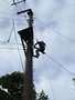 IMG_3442.JPEG
