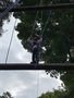 IMG_3445.JPEG