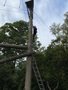 IMG_3459.JPEG