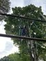 IMG_3465.JPEG