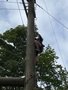 IMG_3473.JPEG