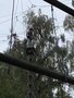 IMG_3497.JPEG