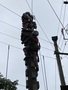 IMG_3499.JPEG