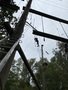 IMG_3501.JPEG