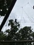 IMG_3505.JPEG