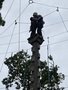 IMG_3506.JPEG